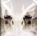 the album cover for Seidr - For Winter Fire [Import]