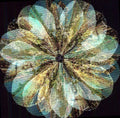 the album cover for Tuusanuuskat - Naaksaa Naa Mun Kyyneleet