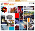 the album cover for The Fireflies - Autumn Almanac