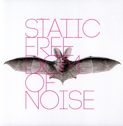 the album cover for Static - Freedom of Noise