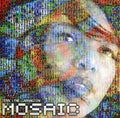 the album cover for Terri Lyne Carrington - The Mosaic Project