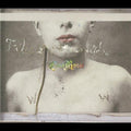 the album cover for CocoRosie  - Tales of a Grasswidow