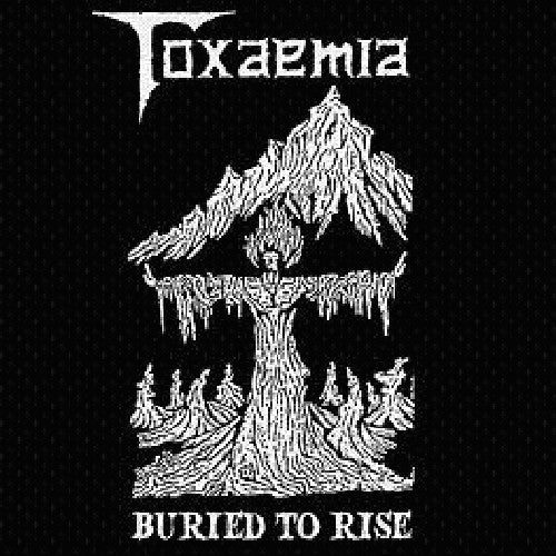 the album cover for Toxaemia - Buried to Rise