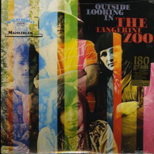 the album cover for Tangerine Zoo - Outside Looking in