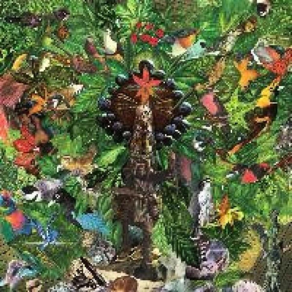 the album cover for Plankton Wat - Drifter's Temple