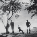 the album cover for Josef K - Sorry for Laughing