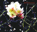 the album cover for Beroshima - Polyphonication