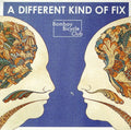 the album cover for Bombay Bicycle Club - Different Kind Of Fix
