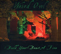the album cover for Weird Owl - Build Your Beast a Fire