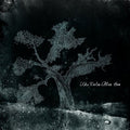 the album cover for Calm Blue Sea - The Calm Blue Sea