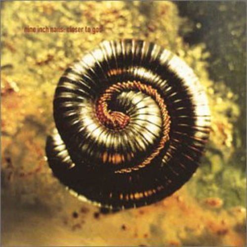the album cover for Nine Inch Nails - Closer To God