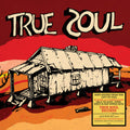 the album cover for True Soul Deep Sounds From The Left Of Stax - True Soul: Deep Sounds from the Left of Stax