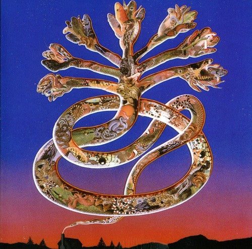 the album cover for Cyclobe - Wounded Galaxies Tap at the Window