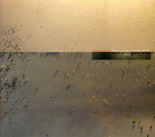 the album cover for Cindytalk - Hold Everything Dear