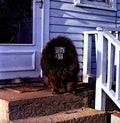 the album cover for Sleeping Bag - Sleeping Bag
