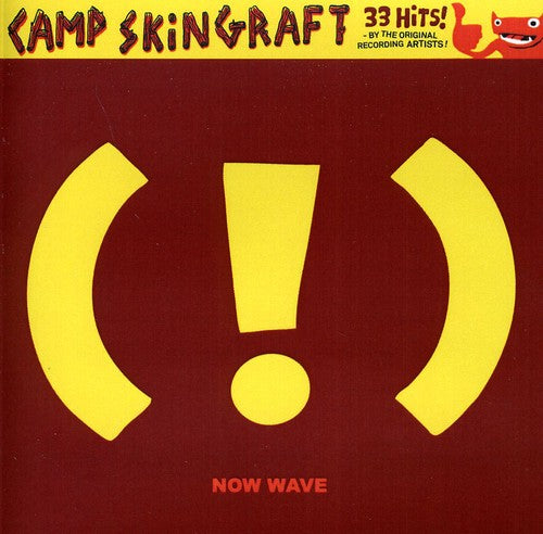 the album cover for Camp Skin Graft Now Wave Co - Camp Skin Graft: Now Wave Compilation