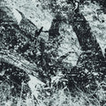 the album cover for INDEX FOR POTENTIAL SUICIDE - The Newest Youth Rebellion