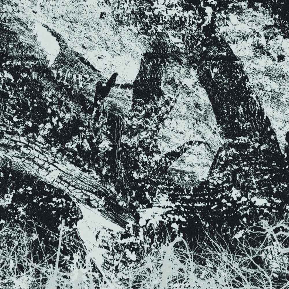 the album cover for INDEX FOR POTENTIAL SUICIDE - The Newest Youth Rebellion