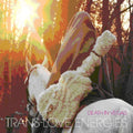 the album cover for Death In Vegas - Trans-Love Energies [Import]