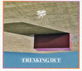 the album cover for Toro Y Moi - Freaking Out