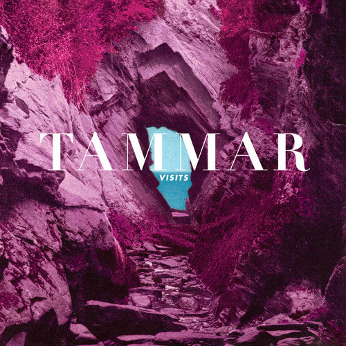the album cover for Tammar - Visits