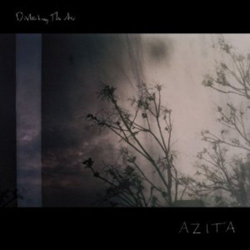 the album cover for Azita - Disturbing the Air