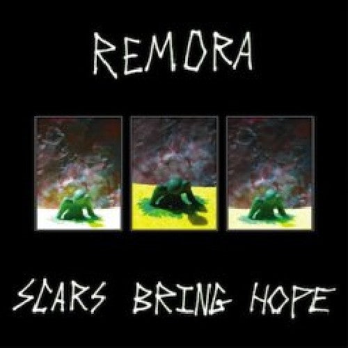 the album cover for Remora - Scars Bring Hope