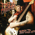 the album cover for Popa Chubby - Back to New York City