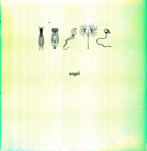 the album cover for Angel - 26000