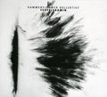 the album cover for Kammerflimmer Kollektief - Teufelskamin