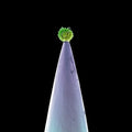 the album cover for Peter Gabriel - New Blood