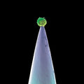 the album cover for Peter Gabriel - New Blood