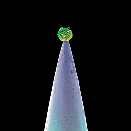 the album cover for Peter Gabriel - New Blood