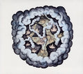 the album cover for Tw Walsh - Songs of Pain and Leisure