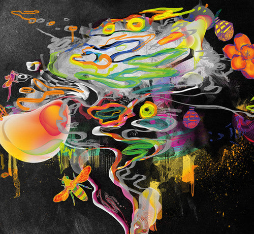 the album cover for Blue Daisy - The Sunday Gift