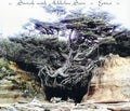 the album cover for Soriah - Eztica
