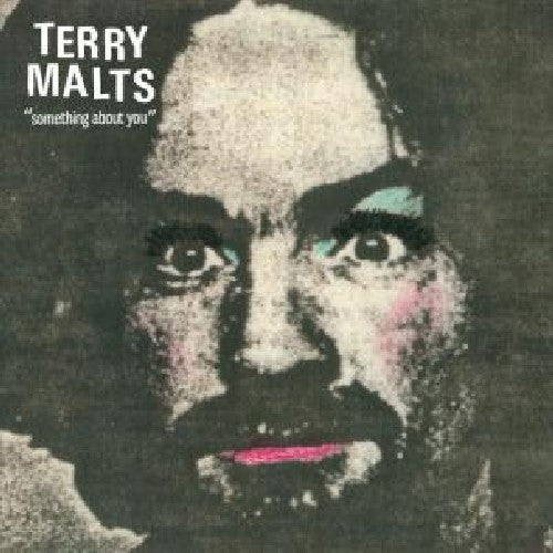 the album cover for Terry Malts - Something About You