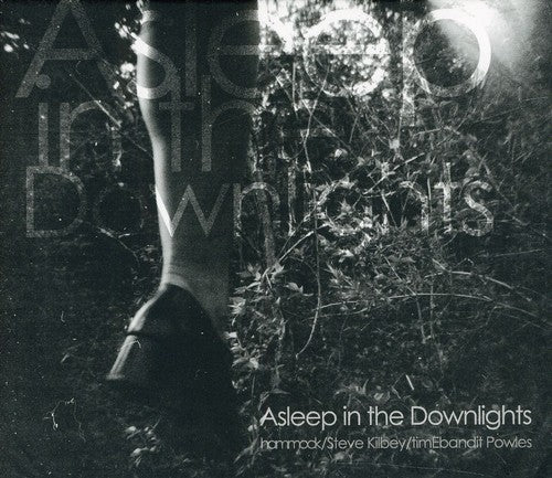 the album cover for Hammock - Asleep in the Downlights