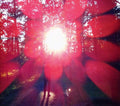 the album cover for Russian Circles - Empros