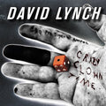 the album cover for David Lynch - Crazy Clown Time [LP]