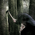 the album cover for Baptists - Bushcraft