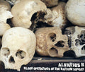the album cover for Alvarius B - Blood Operatives of the Barium Sunset