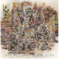 the album cover for Cass McCombs - Humor Risk [Download Included]