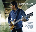 the album cover for David Grissom - Way Down Deep