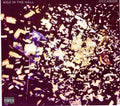 the album cover for Kidz In The Halll - Occasion