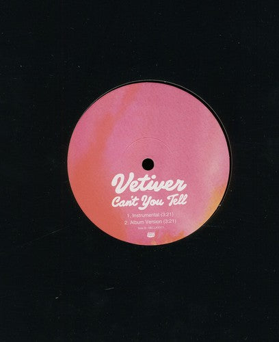 the album cover for Vetiver - Can't You Tell