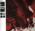 the album cover for Skullflower - Carved Into Roses/Infinityland/Singles