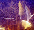 the album cover for Desertshore - Drawing Of Threes