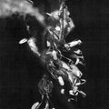 the album cover for Mike Shiflet - Sufferers