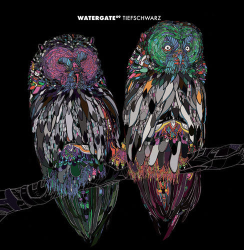 the album cover for Tiefschwarz - Watergate 09